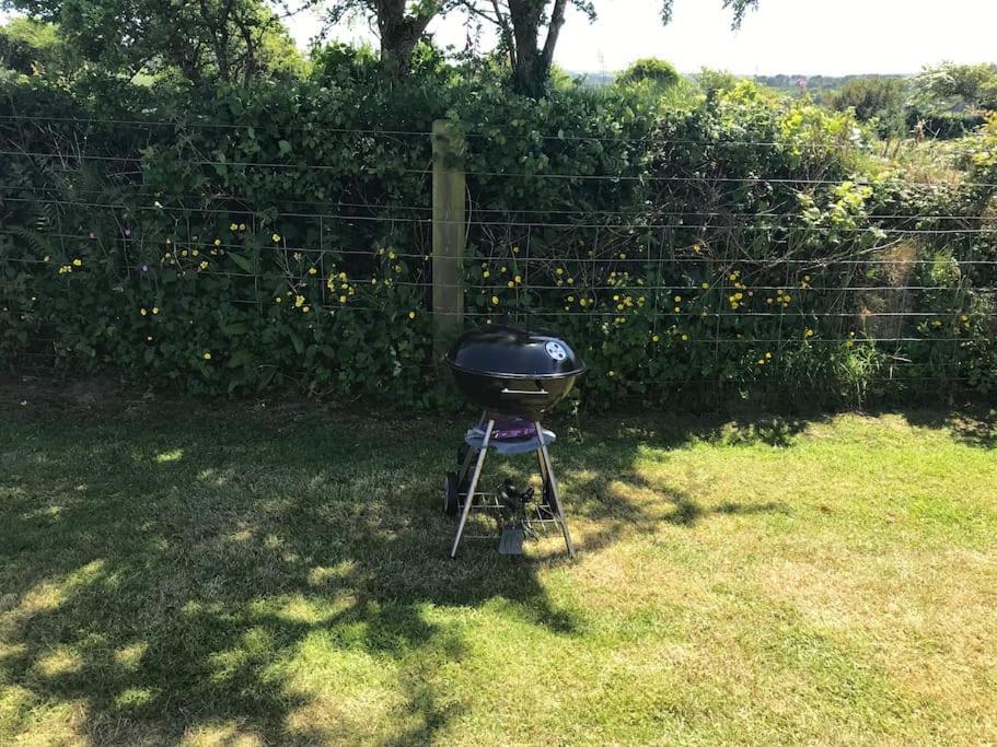 Cox Hill Glamping Badger Hotel Truro Bagian luar foto
